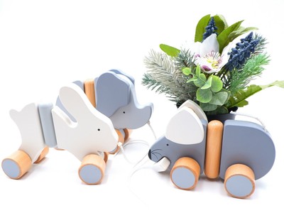 interactive wooden toys