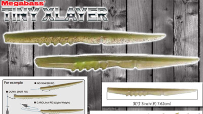 Megabass JDM 3'' Tiny Xlayer Worm / Drop Shot Bait - Choose Color