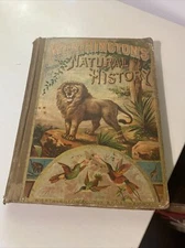 Worthington's Stories Of Natural History Worthington Co. Broadway NY 1886