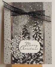 Stampin Up PEACEFUL PLACE DSP  MERRY CHRISTMAS  CARD KIT- Makes 4, CUTE LAYOUT