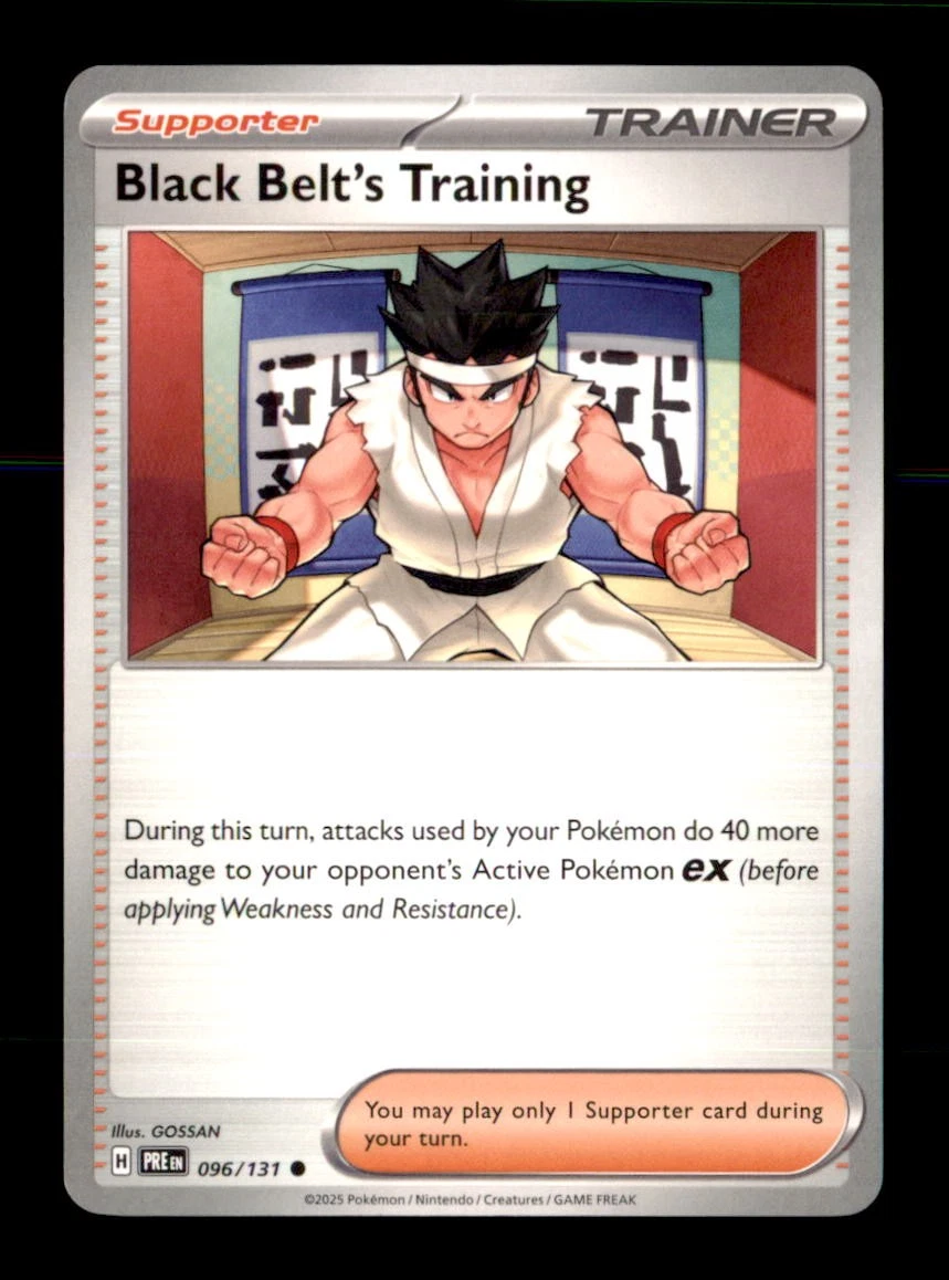 black belt training pokemon card 220/193}Black Belt's Training