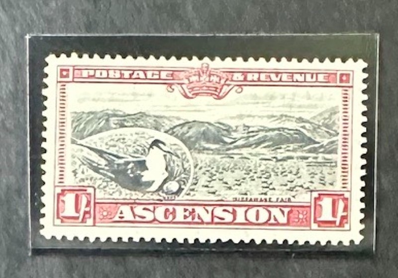 ASCENSION   30   Lovely    Mint   Very   Light   Hinged   Issue