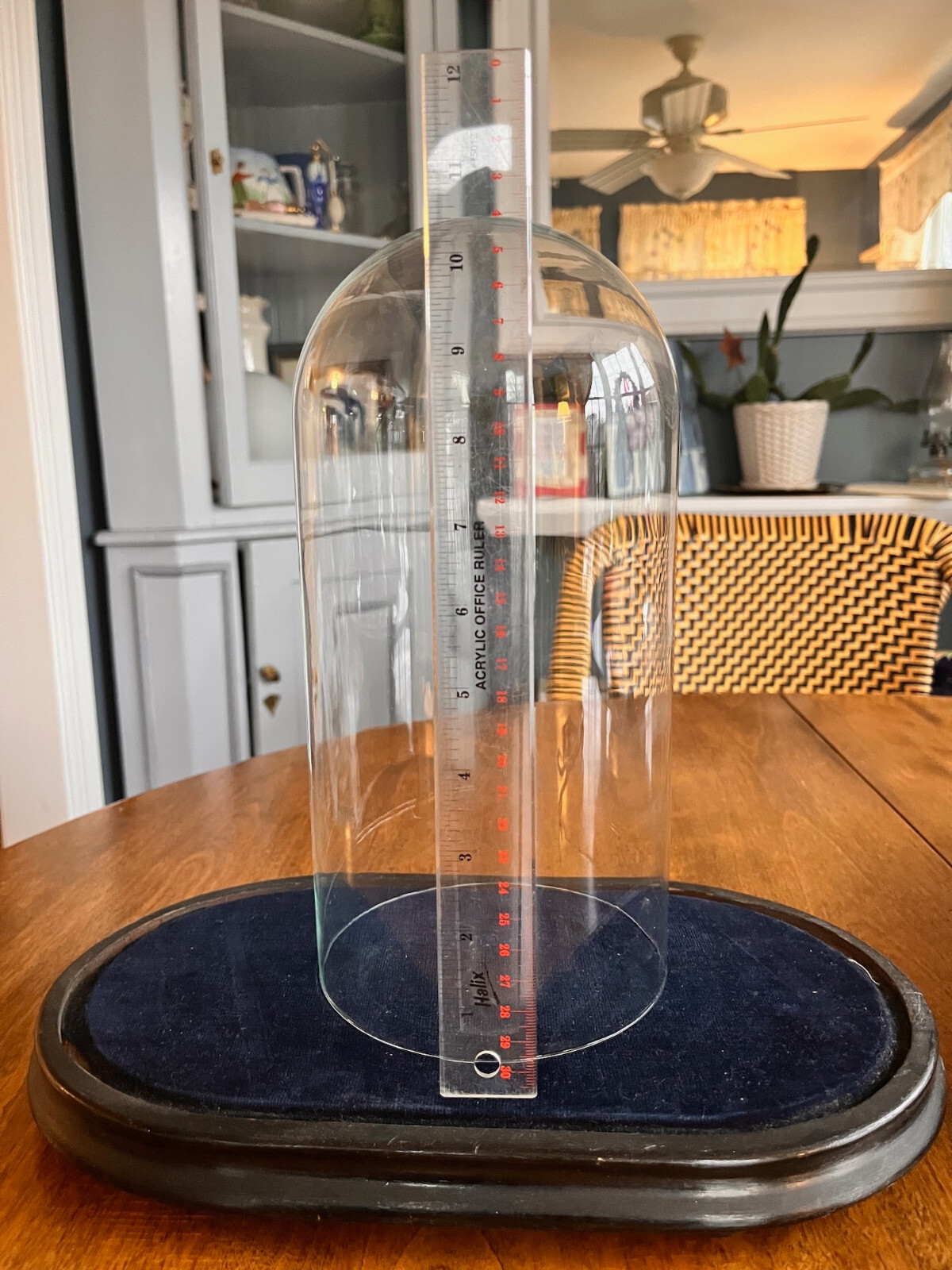 ANTIQUE Cloche Glass Bell Display Lab Jar Large Glass Desiccator Cloche