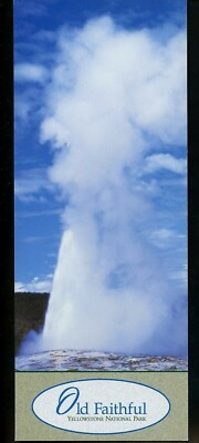 Oversized postcard Wyoming WY Yellowstone National Park Old Faithful geyser