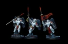 Sanguinary Guard Blood Angels ** COMMISSION ** painting