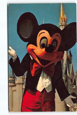 Welcome To Fantasyland Mickey Mouse Walt Disney World FL Chrome
