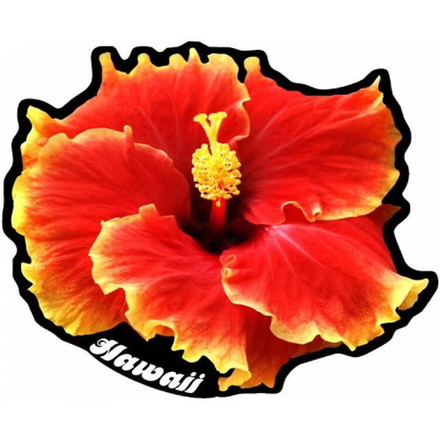 Hawaii Hibiscus Vinyl Decal Car Window Laptop Sticker eBay
