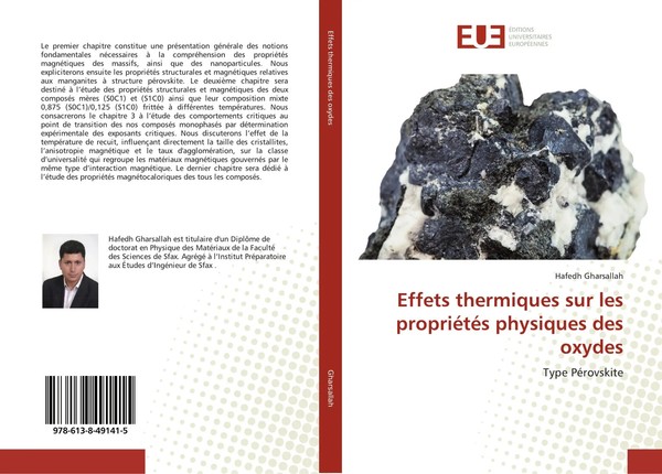 Hafedh Gharsallah | Effets Thermiques Sur Les PropriéTéS Physiques Des Oxydes-image