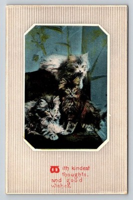 Vintage Postcard Three Fluffy Tabby Kittens Cats Kindest Thoughts Wishes