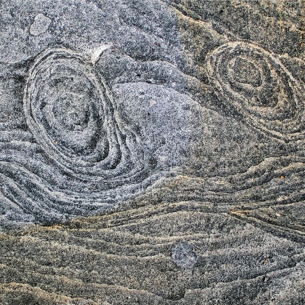 Sophos Sending Signals (CD) Album