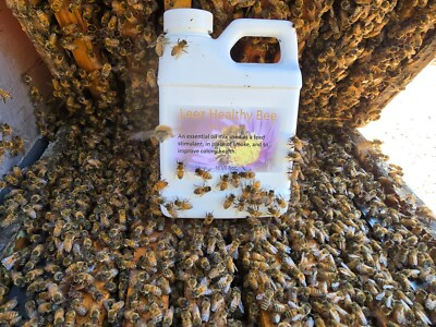 #ad #ad Leez Healthy Bee feed stimulant $20.00