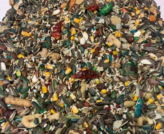 x 5lbs bags (10lbs total) of Abba 1500 parrot seed amazons