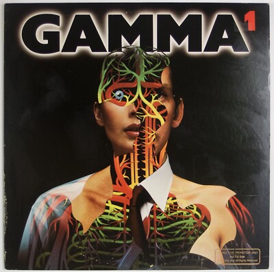 GAMMA: Gamma 1 US Elektra 6E-219 and  79 Promo WLP Arena Rock LP