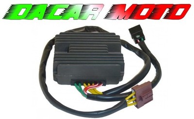 REGULATOR Derbi GP1 250 Racing 2008 2009 2010