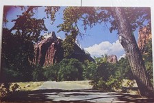 Utah UT Zion National Park Postcard Old Vintage Card View Standard Souvenir Post