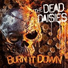 Burn It Down  von The Dead Daisies | CD | Zustand sehr gut