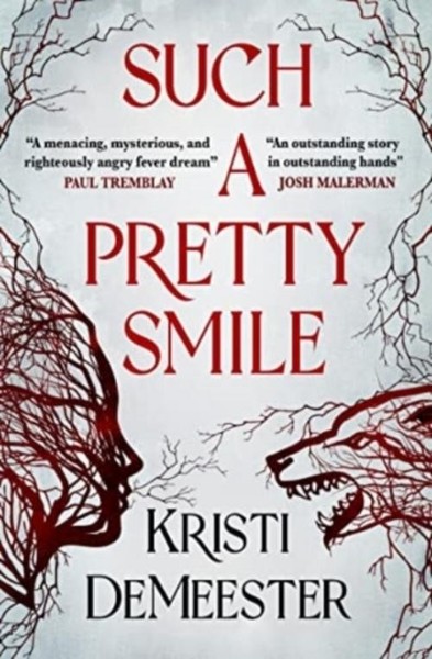 Such A Pretty Smile Kristi Demeester-image