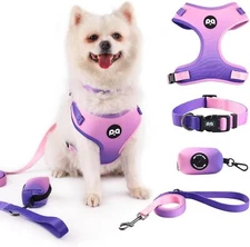 No Pull Dog Harness Set with Leash，Adjustable Dog Vest with Poop Bag Holder