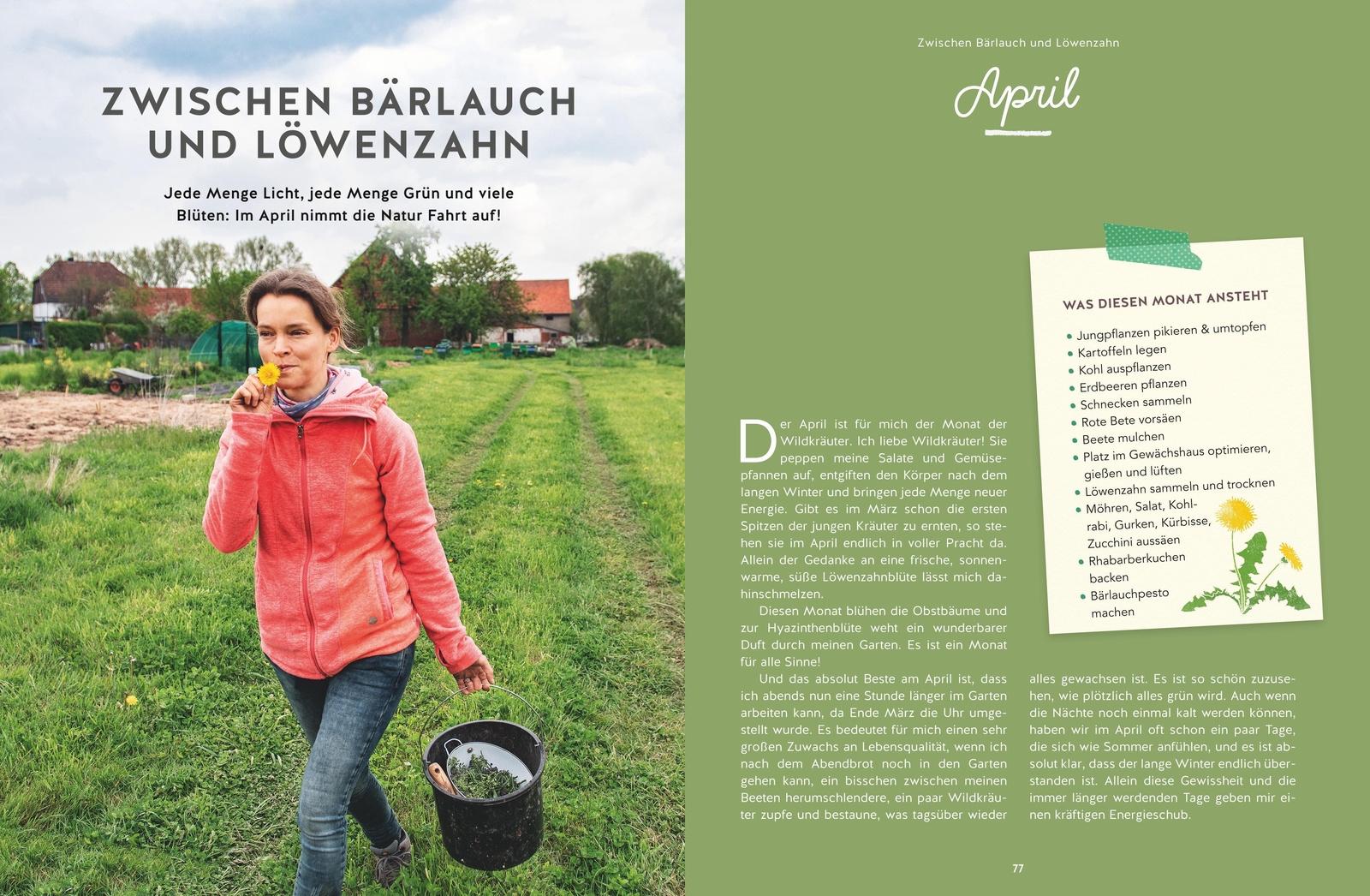 Thumbnail - 12 Monate Gemüse Ernten Mehr Ernten Mit Der Frühstarter-methode Tini