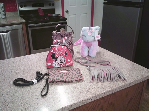 LOT OF 5 GIRLS/TEENS PURSE LOT