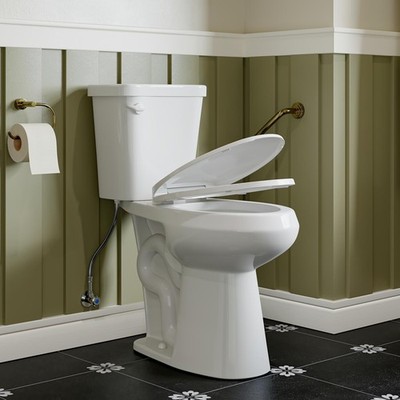 HOROW Two-Piece Toilet 1.28 GPF Single Flush Elongated Bowl for Seniors White