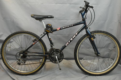 1995 Giant Awesome 24\