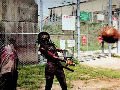Michonne Decapitates A Walker At the Prison The Walking Dead Poster 11.5''x16''