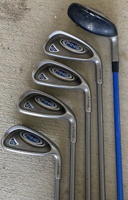 Ping G5 Iron Set;Graphite TFC 100 Regular; Blue Dot | eBay
