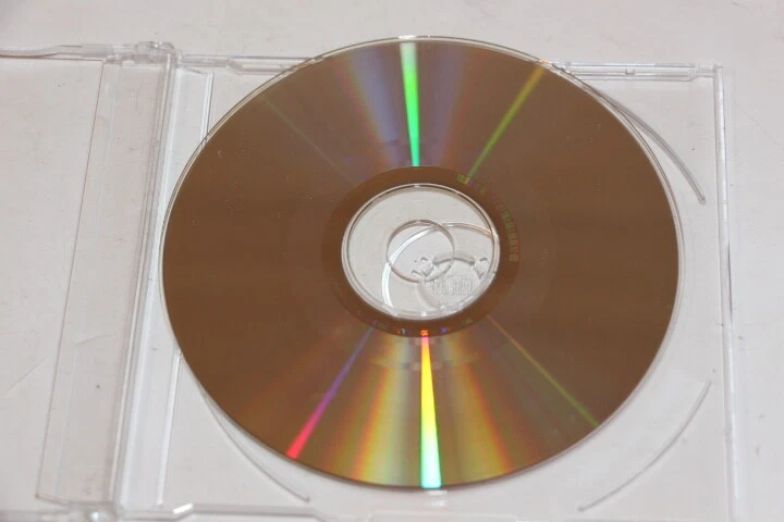 PATRICE RUSHEN My Heart Your Heart 1994 USA RARE PROMO Radio DJ CD FREE SHIP  Foto 3 de 4