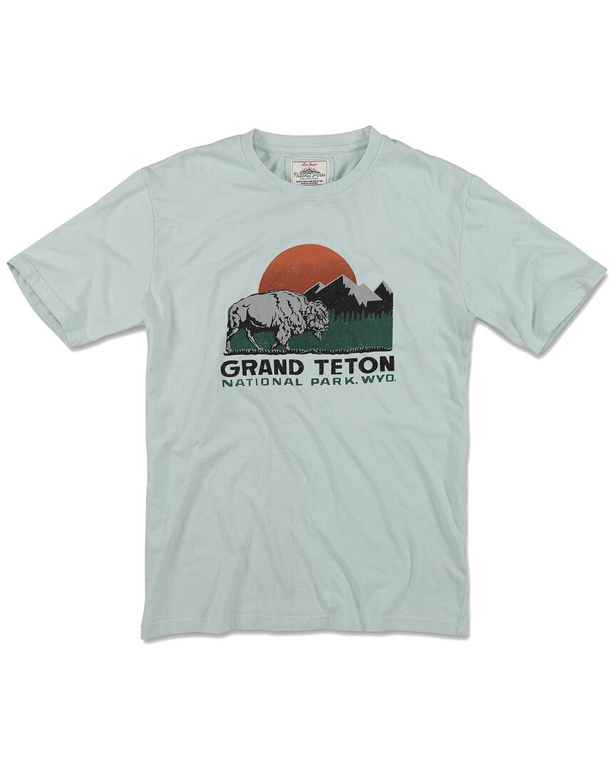 Мужская футболка American Needle