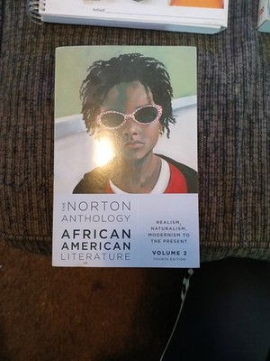 The Norton Anthology of African American Literature Paperback