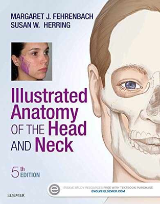 #ad Illustrated Anatomy of the Head Paperback by Fehrenbach RDH MS Very Good o $10.50