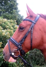 FSS English Silver Buckle Comfort Padded Poll Crown CRANK FLASH Combined Bridle