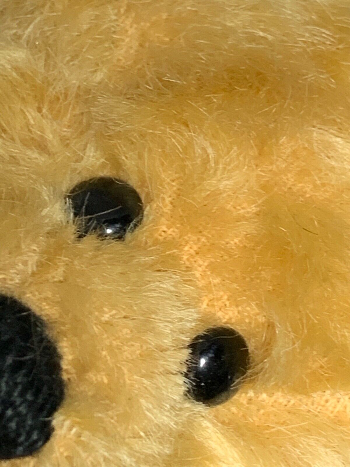 Picture 5 of 13