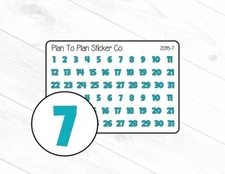 2095-7~~Turquoise Date Covers Planner Stickers.