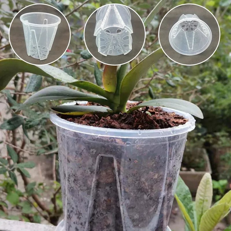 Pots d'orchidées en plastique transparent avec trous Pot de fleur  transparent