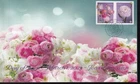 Canada limited edition private FDC, 2023 Ranunculus Flowers 'P' booklet pair