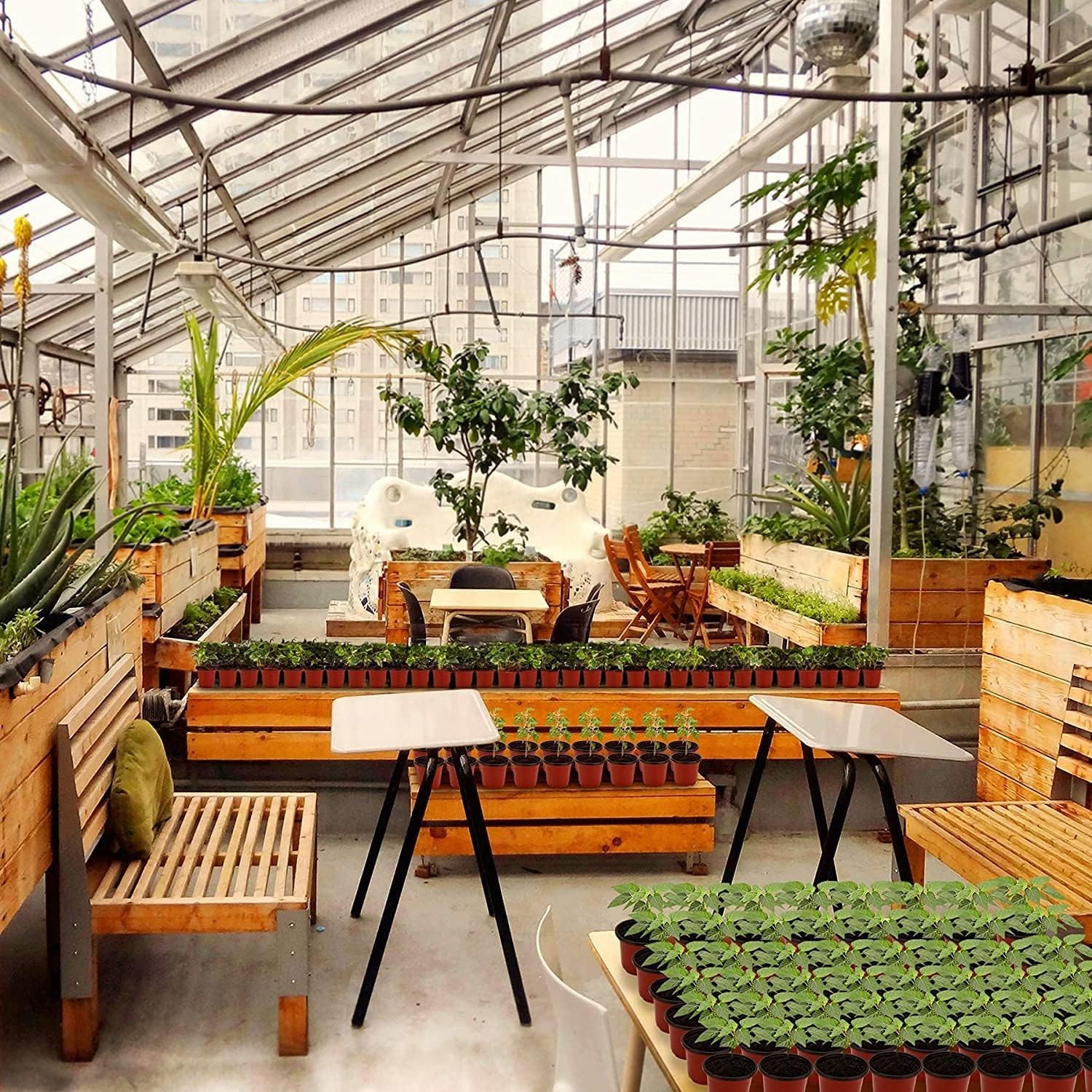 4" Transparent Nursery Pots with Humidity Dome for Thriving Seedlings - 30 Sets