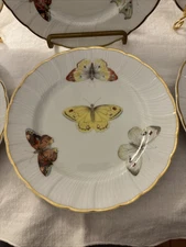VTG B&Co Limoges France L. Bernardaud & Co. Butterfly Dessert Plates 6.5" Qty6