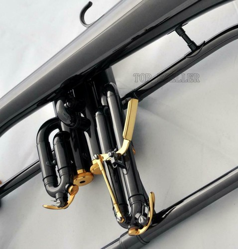 Professional Black Nickel Flugelhorn Monel Valve Bb Fluge Horn 2Pc Mouth W/Case - Picture 6 of 7