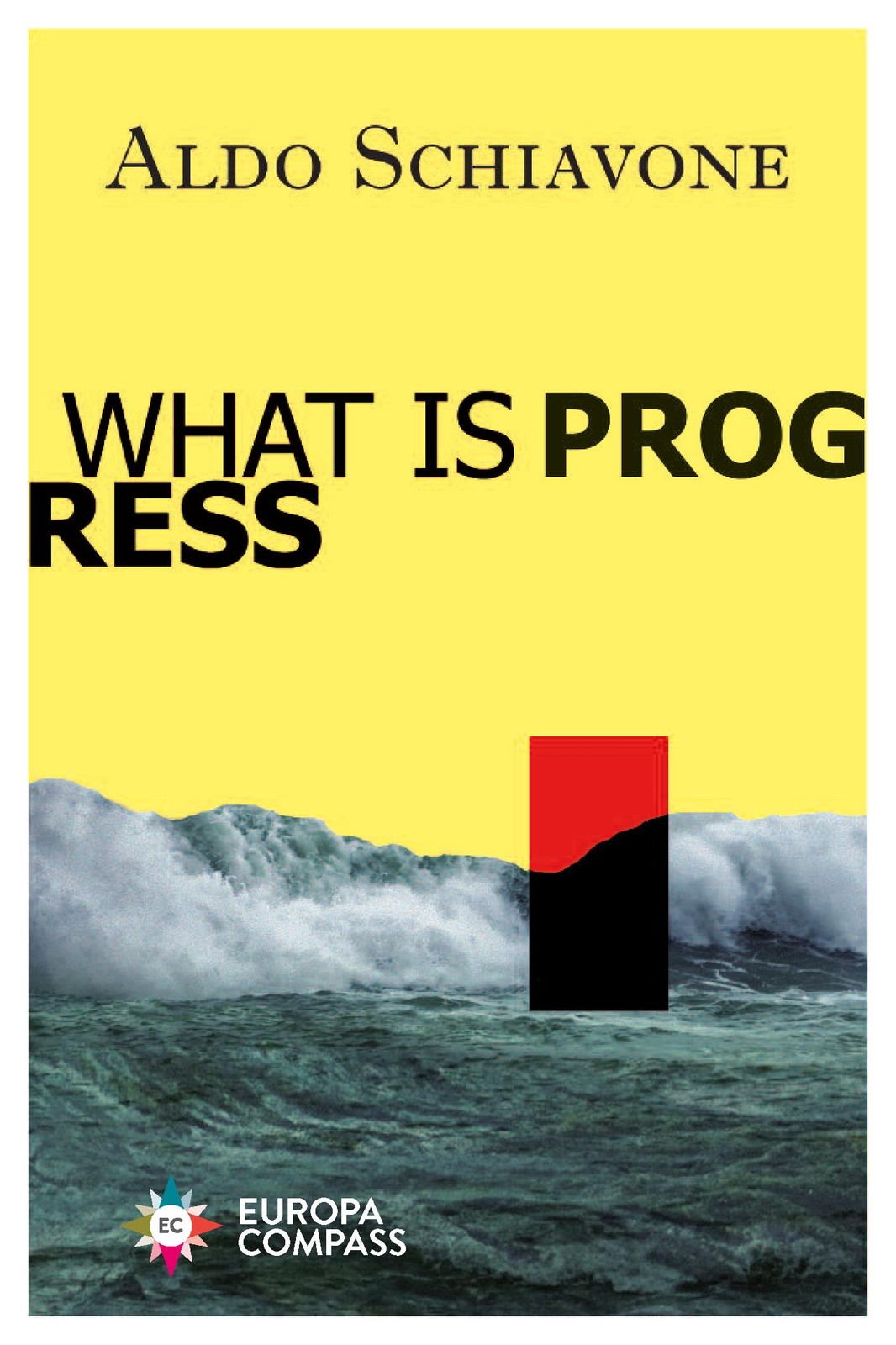 What Is Progress by Schiavone