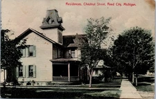 1910 Residences Chestnut St Reed City Michigan halftone M W Brown Postcard
