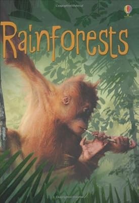 Rainforest (Usborne Beginners), Lucy Beckett-Bowman, Used; Good Book