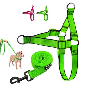 choke leash for dogs