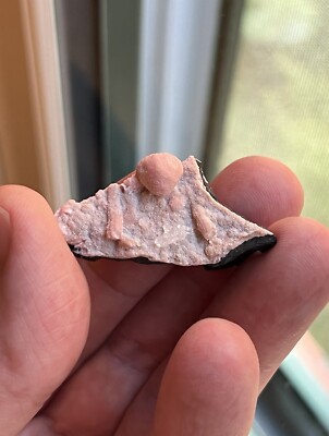 Unique Rhodochrosite and Calcite N Chwaning III Mine South Africa