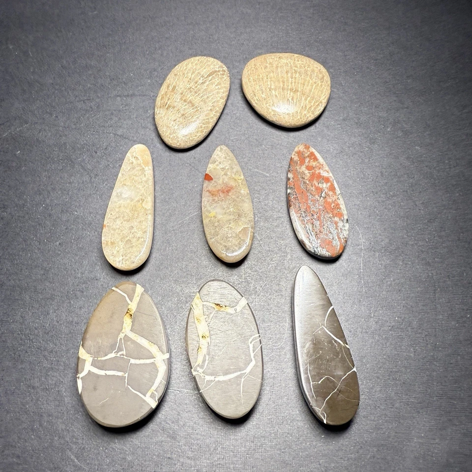 Lot of 8 Michigan Cabochons Charlevoix Puddingstone Lightning Stone Glows #1219 - Image 3 of 4