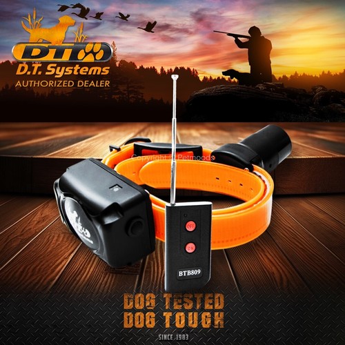 DT Systems BTB-809 Double Beep Baritone Dog Collar Beeper with Remote Control - Picture 2 of 7