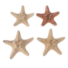 4 Pcs Beach Party Accessories Coastal Seascape Theme Decorations