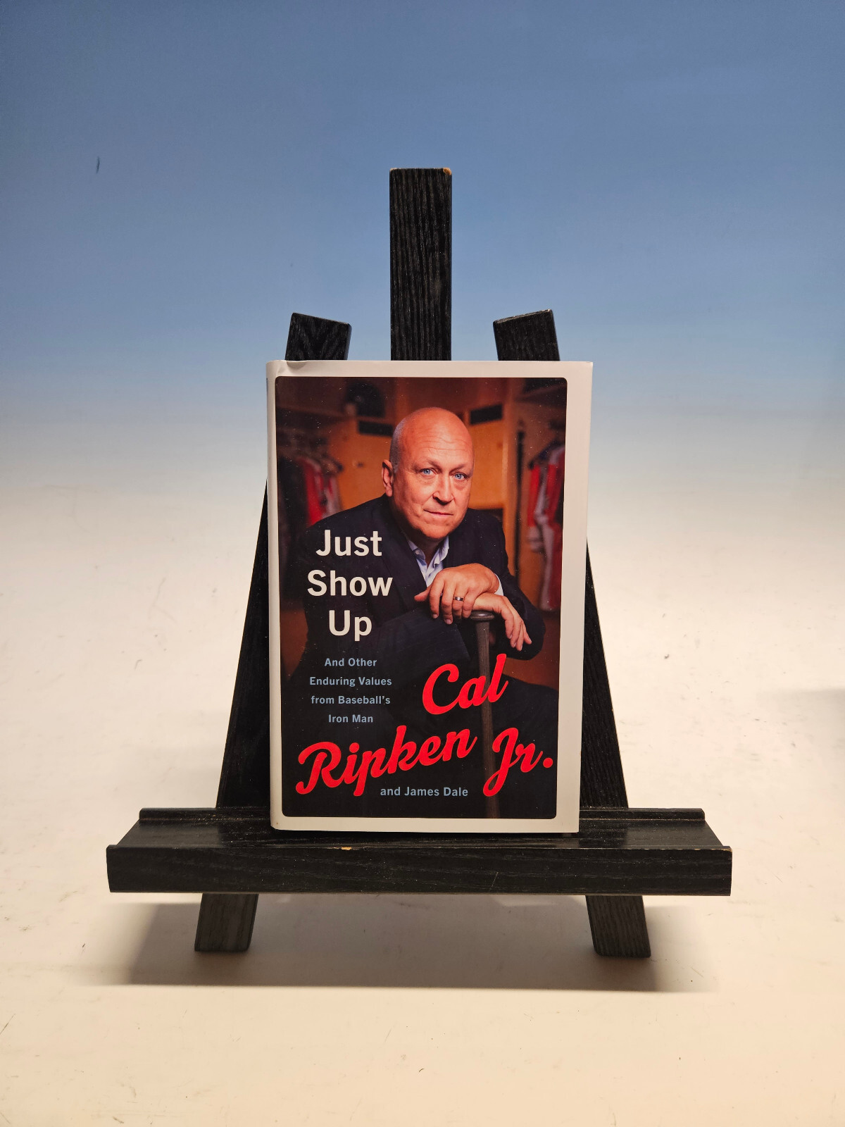 Book Lot Sports Biography Books Set of 8 Koufax, Howe, Earnhardt