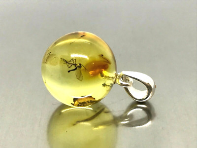 BERNSTEIN ANHÄNGER Geschenk INSEKT runde Perle BALTISCHER BERNSTEIN Silber 925 Insekten 2g 17432